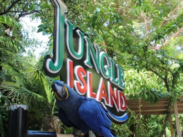 Jungle Island