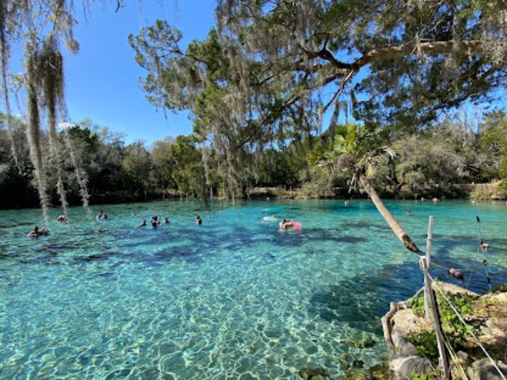 Juniper Springs