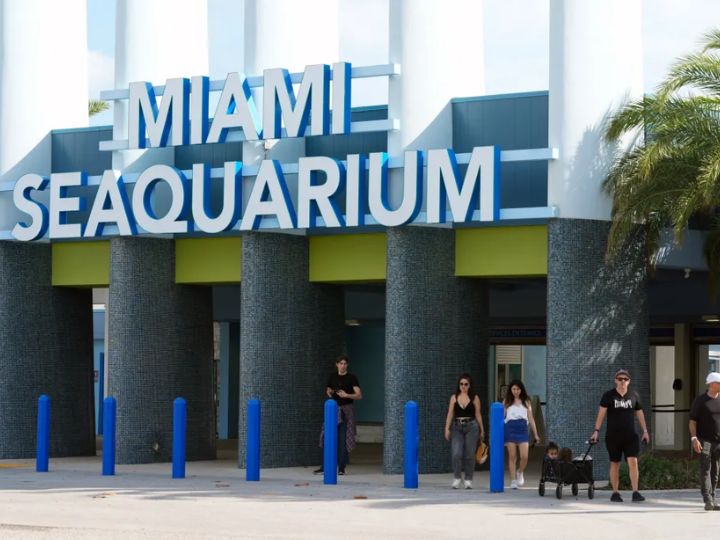 Miami Seaquarium