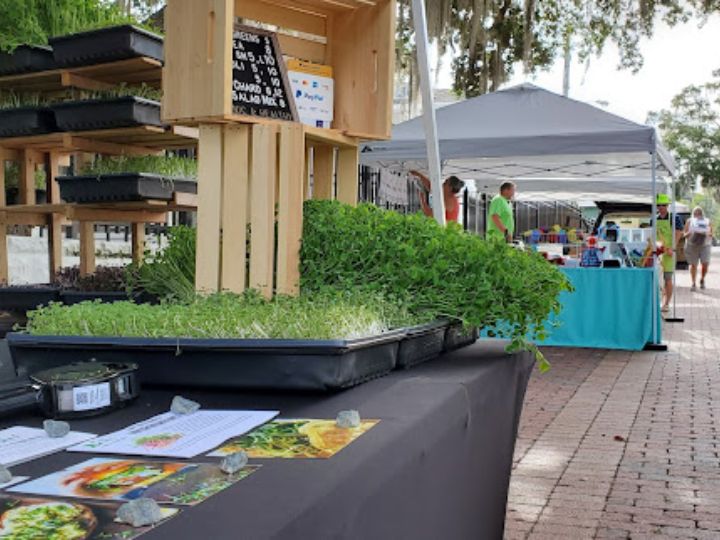 Mount Dora Village Market