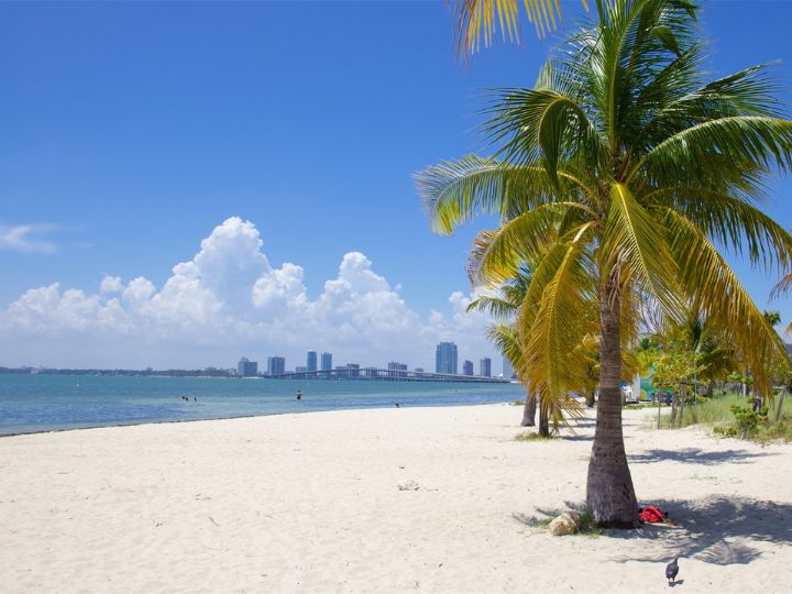 Virginia Key Beach