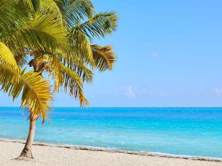 Best beaches in the Florida Keys