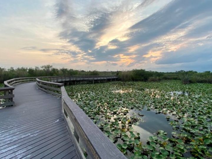 Everglades National Park