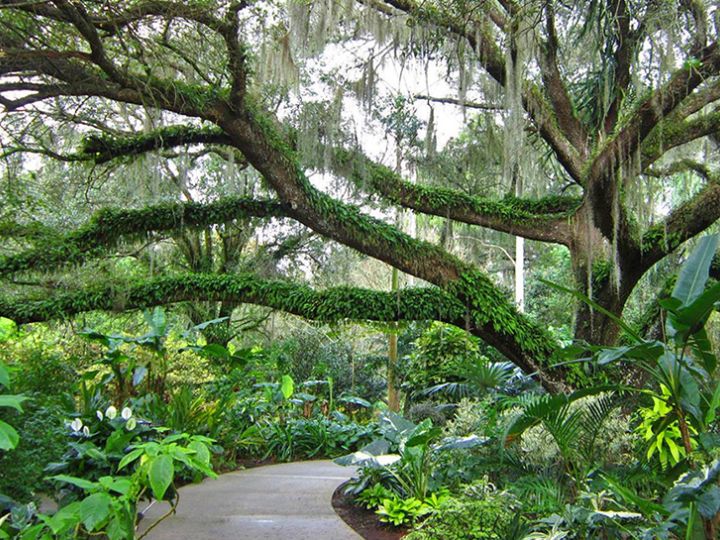 Harry P. Leu Gardens