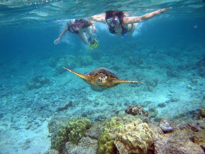 John Pennekamp Coral Reef State Park