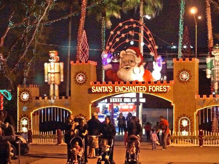 Santa's Enchanted Forest