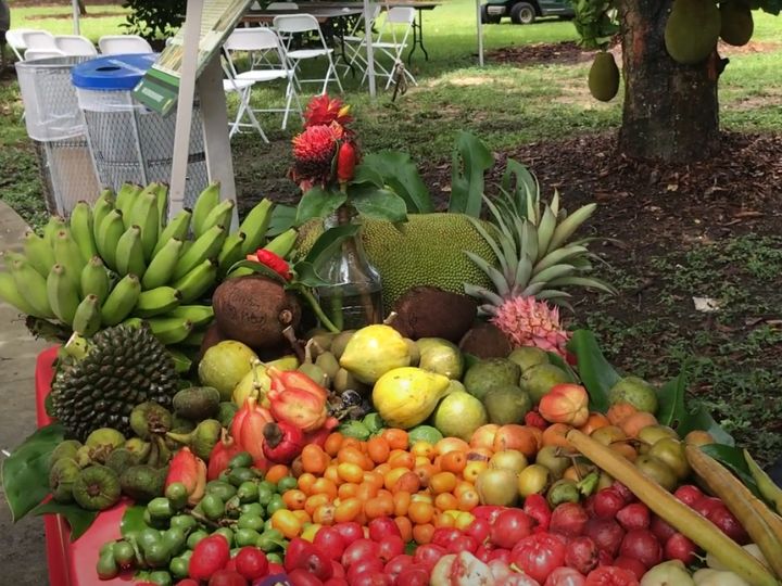 Redland Summer Fruit Festival