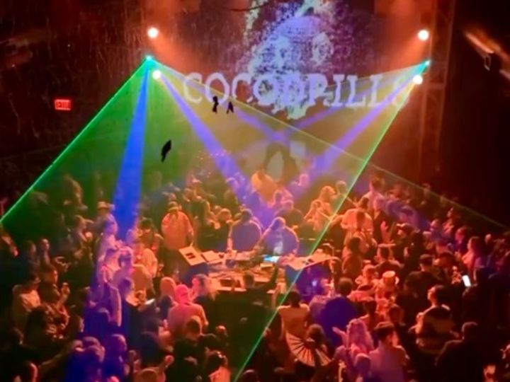 Cocodrills at 1-800-Lucky