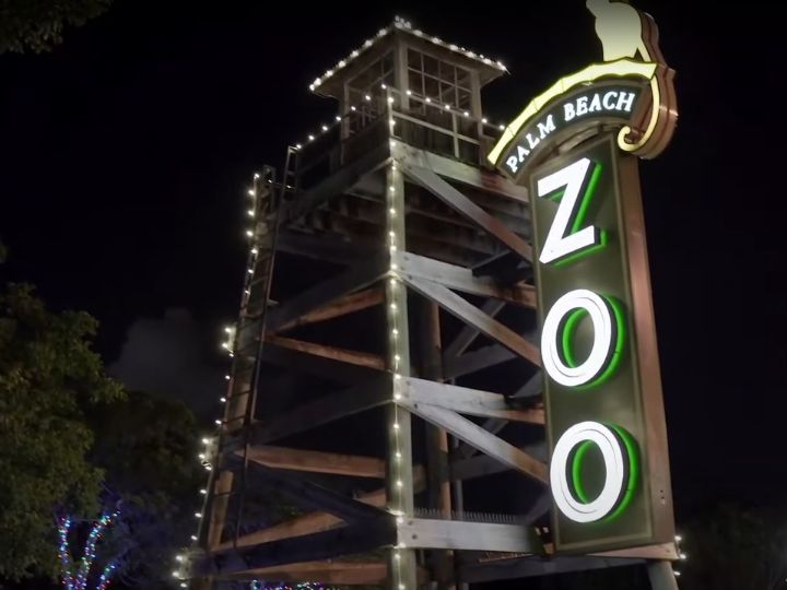 Zoo Lights at Palm Beach Zoo