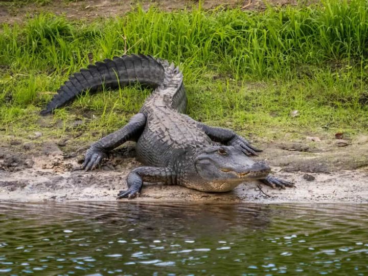 Lake Okeechobee