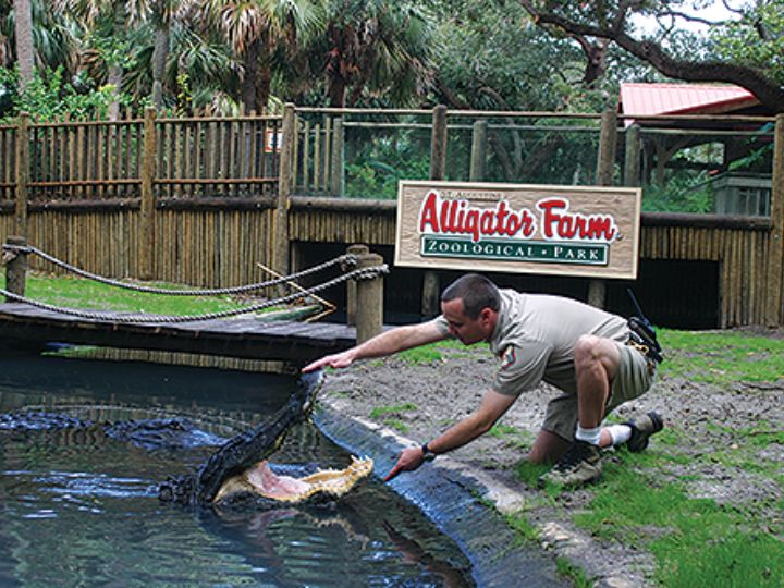 St. Augustine Alligator Farm Zoological Park